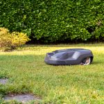 Ein Mähroboter fährt über eine grüne Wiese. Im Hintergrund ist eine grüne Hecke zu sehen.